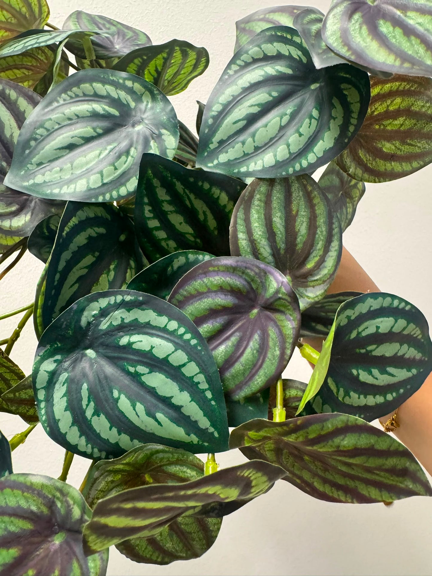 Watermeloen peperomia UV (kunstplant)