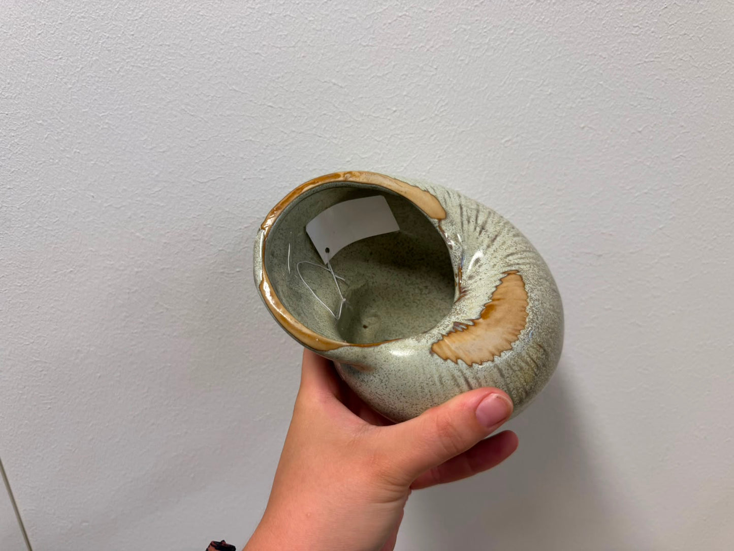 Ornament Schelp Groen