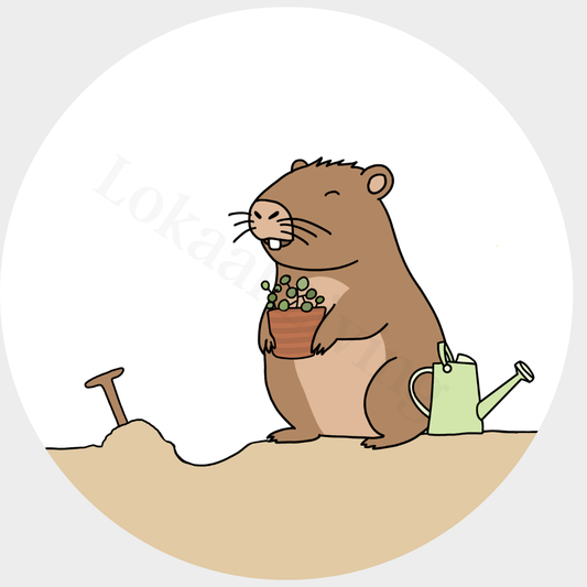 Muurcirkel Capibara
