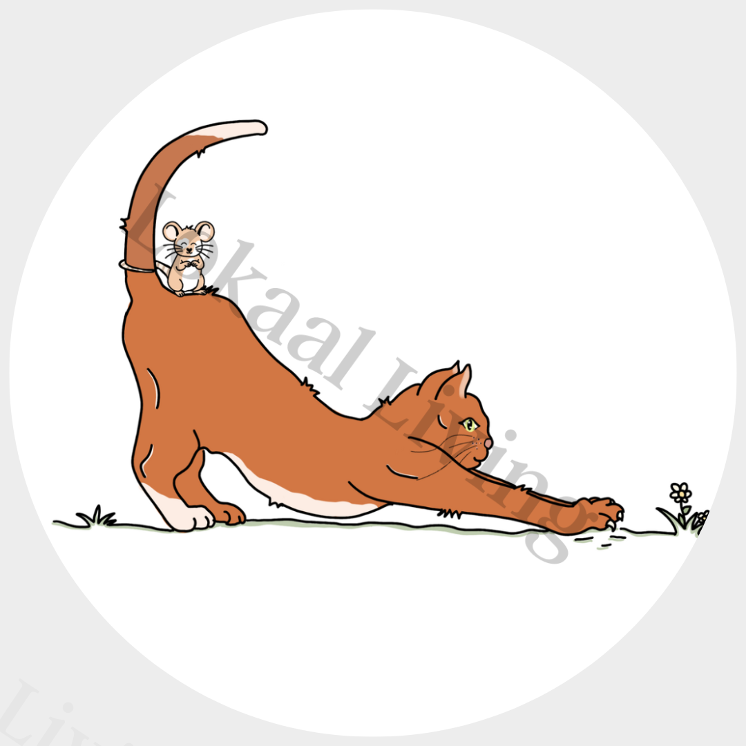 Muurcirkel Kat en muis